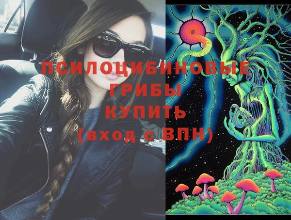 ешки Богородицк