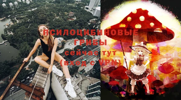 ешки Богородицк