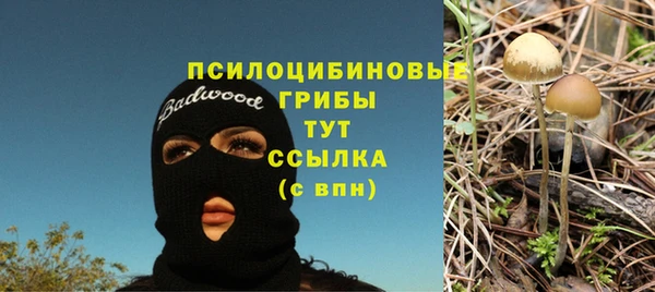 MESCALINE Богородск