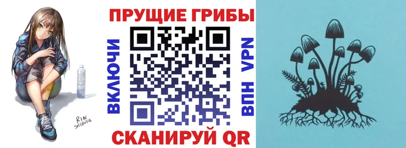 Псилоцибиновые грибы Magic Shrooms  Горнозаводск 